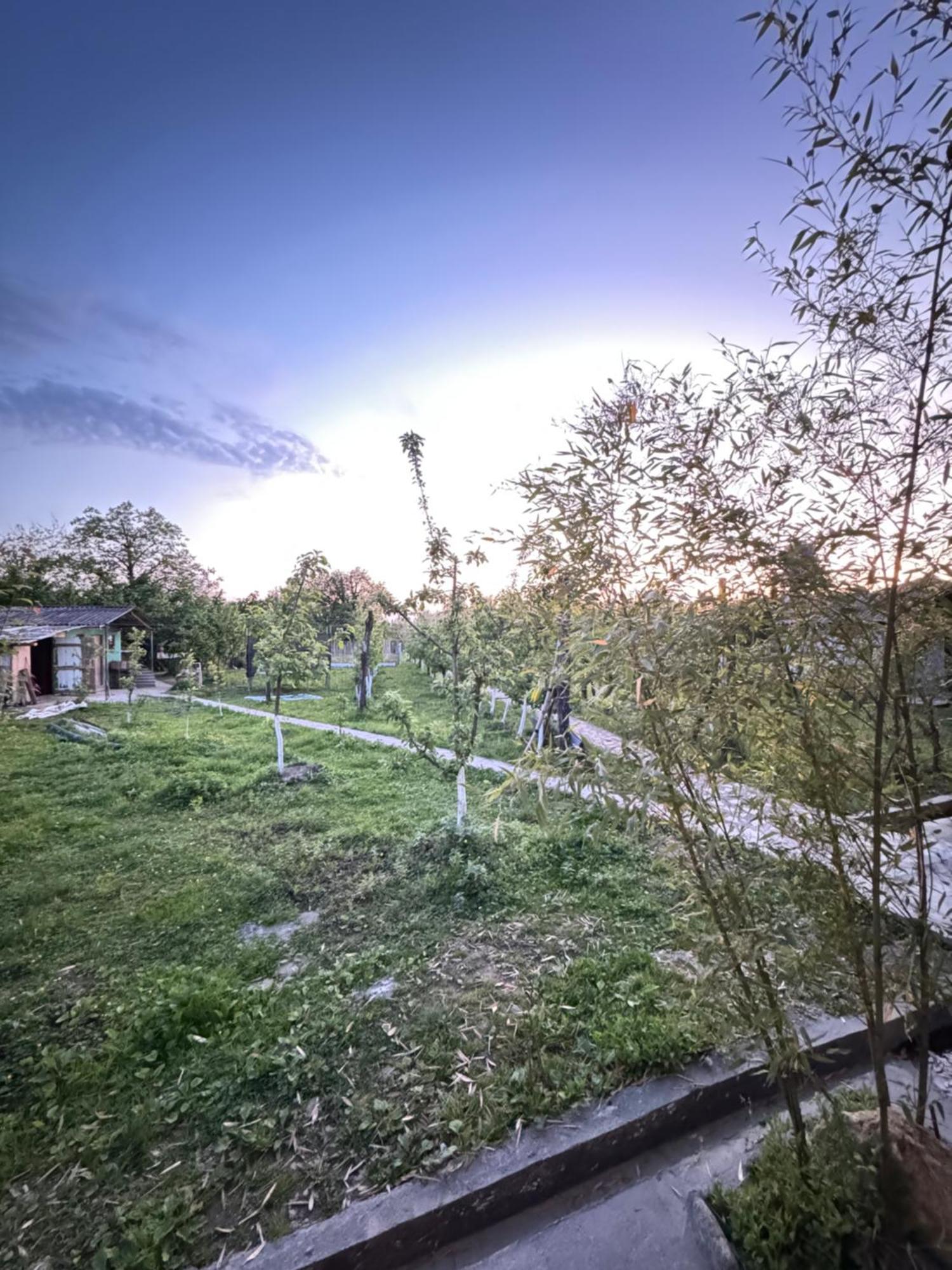 Odo'S Guest House Martvili Dış mekan fotoğraf
